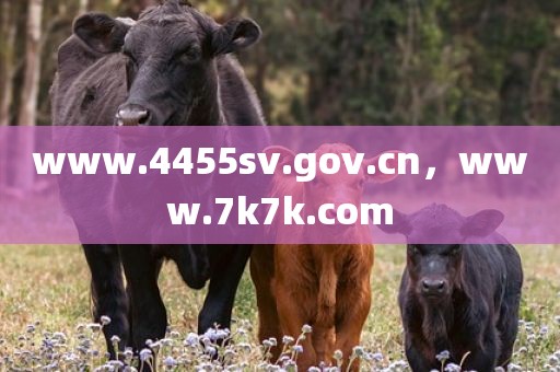 www.4455sv.gov.cn，www.7k7k.com