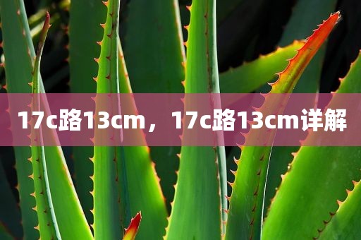 17c路13cm，17c路13cm详解