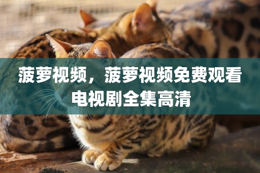 菠萝视频，菠萝视频免费观看电视剧全集高清