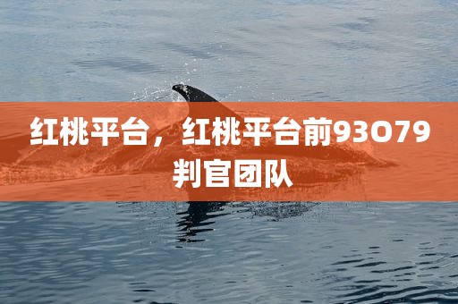 红桃平台，红桃平台前93O79 判官团队