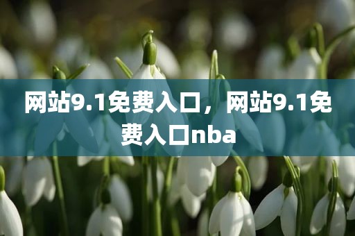 网站9.1免费入口，网站9.1免费入口nba