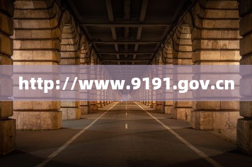 http://www.9191.gov.cn