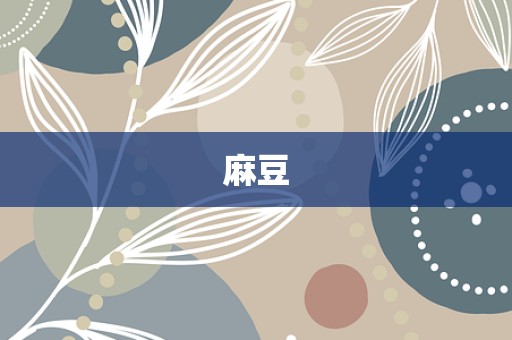 麻豆