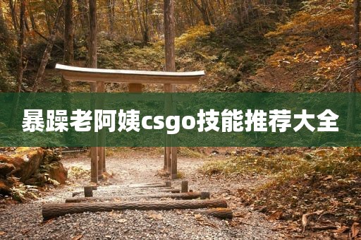 暴躁老阿姨csgo技能推荐大全