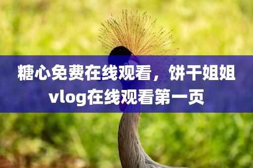 糖心免费在线观看，饼干姐姐vlog在线观看第一页