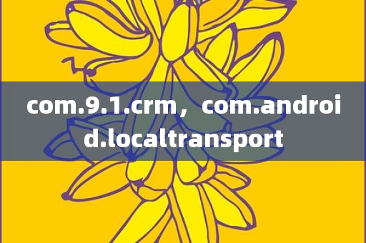 com.9.1.crm，com.android.localtransport