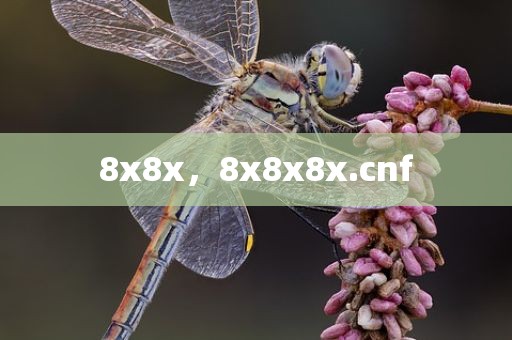 8x8x，8x8x8x.cnf