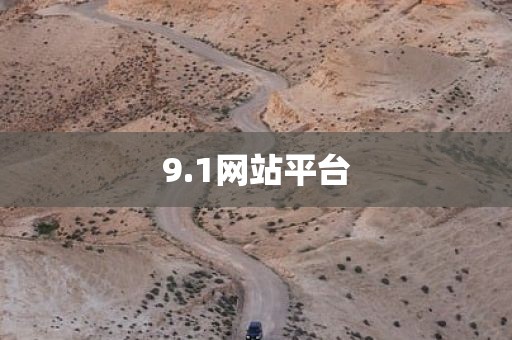 9.1网站平台