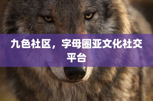 九色社区，字母圈亚文化社交平台