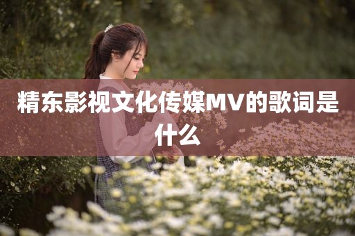 精东影视文化传媒MV的歌词是什么