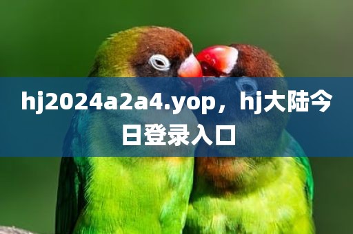 hj2024a2a4.yop，hj大陆今日登录入口