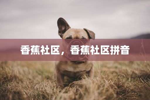 香蕉社区，香蕉社区拼音
