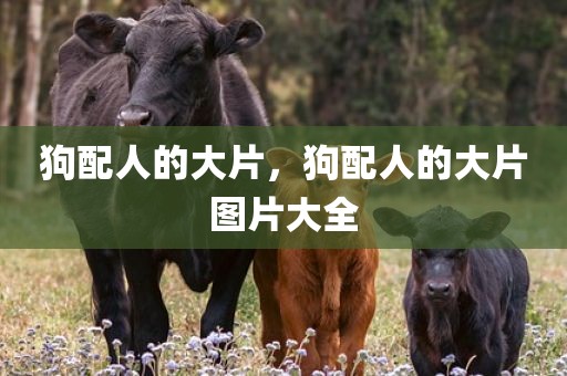 狗配人的大片，狗配人的大片图片大全