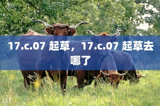 17.c.07 起草，17.c.07 起草去哪了