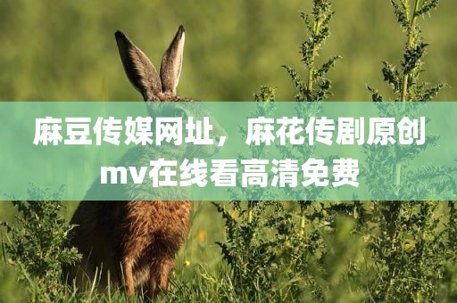 麻豆传媒网址，麻花传剧原创mv在线看高清免费