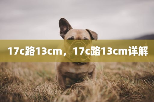 17c路13cm，17c路13cm详解