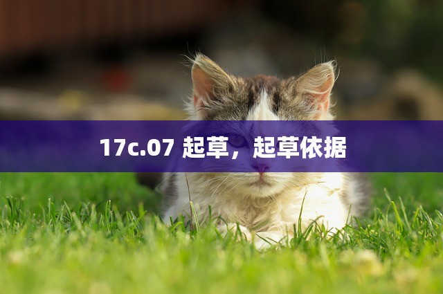 17c.07 起草，起草依据