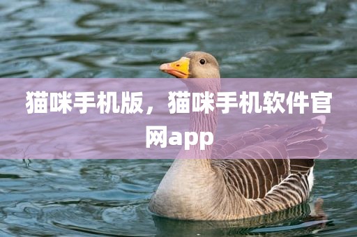 猫咪手机版，猫咪手机软件官网app