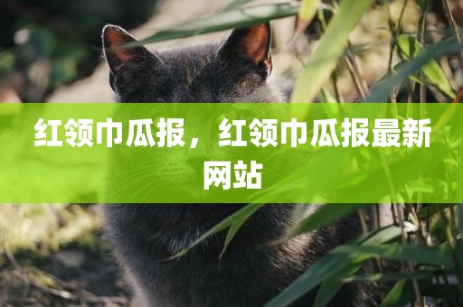 红领巾瓜报，红领巾瓜报最新网站