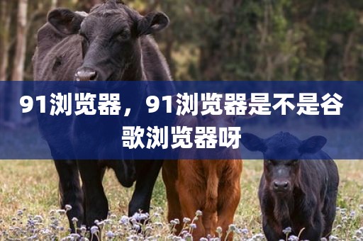 91浏览器，91浏览器是不是谷歌浏览器呀