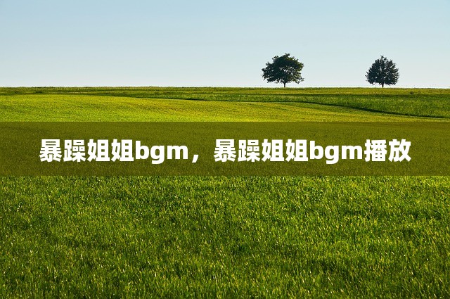 暴躁姐姐bgm，暴躁姐姐bgm播放