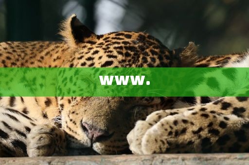 www.