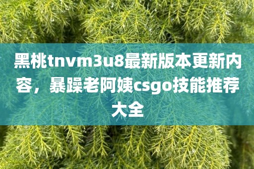 黑桃tnvm3u8最新版本更新内容，暴躁老阿姨csgo技能推荐大全