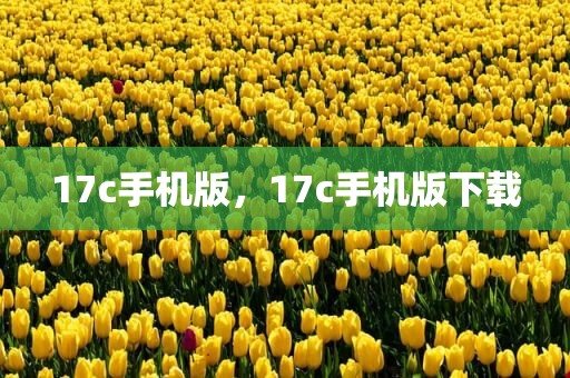 17c手机版，17c手机版下载