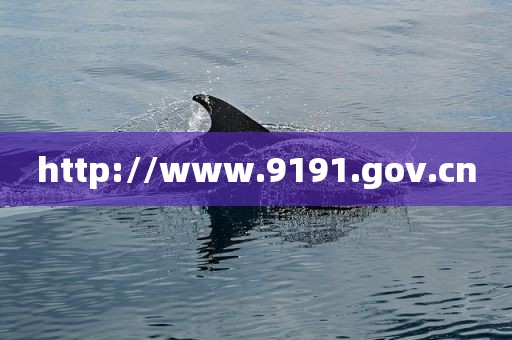 http://www.9191.gov.cn