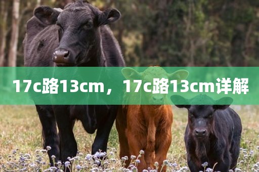 17c路13cm，17c路13cm详解