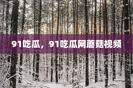 91吃瓜，91吃瓜网蘑菇视频