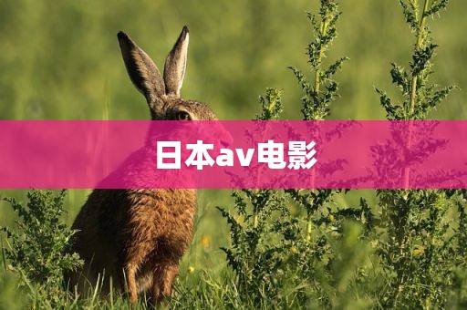日本av电影