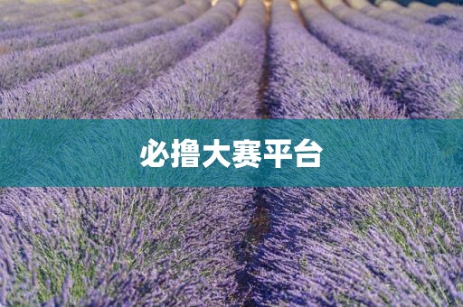必撸大赛平台