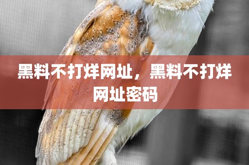 黑料不打烊网址，黑料不打烊网址密码