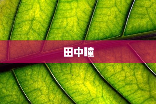 田中瞳
