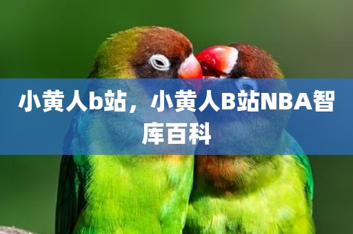 小黄人b站，小黄人B站NBA智库百科