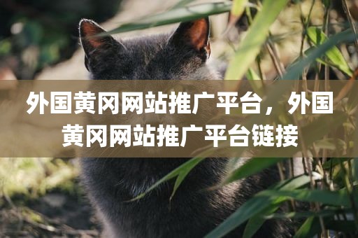 外国黄冈网站推广平台，外国黄冈网站推广平台链接