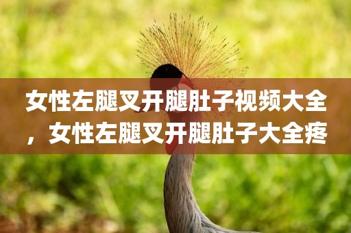 女性左腿叉开腿肚子视频大全，女性左腿叉开腿肚子大全疼