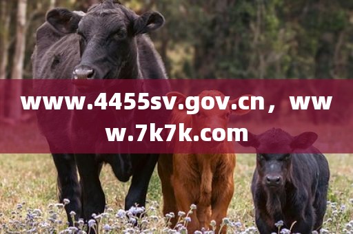 www.4455sv.gov.cn，www.7k7k.com