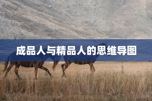 成品人与精品人的思维导图