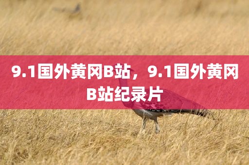 9.1国外黄冈B站，9.1国外黄冈B站纪录片
