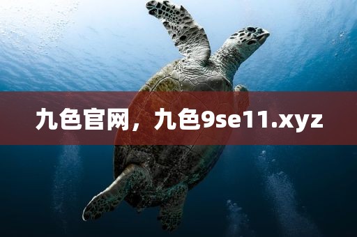 九色官网，九色9se11.xyz