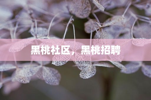 黑桃社区，黑桃招聘