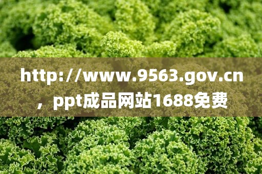 http://www.9563.gov.cn，ppt成品网站1688免费