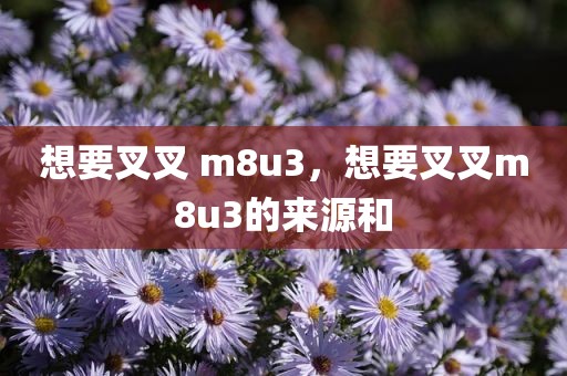 想要叉叉 m8u3，想要叉叉m8u3的来源和