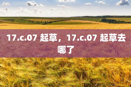 17.c.07 起草，17.c.07 起草去哪了