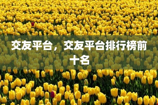 交友平台，交友平台排行榜前十名