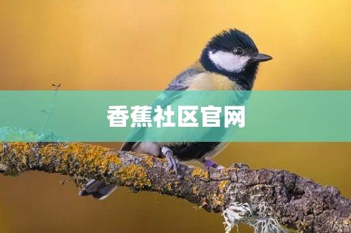 香蕉社区官网
