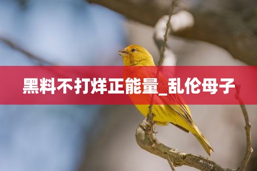 黑料不打烊正能量_乱伦母子