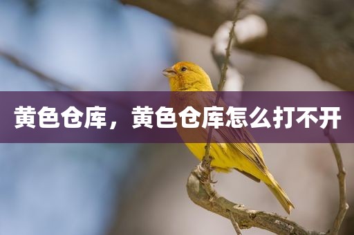 黄色仓库，黄色仓库怎么打不开
